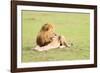 Lion, Masai Mara, Kenya, East Africa, Africa-Karen Deakin-Framed Photographic Print