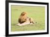 Lion, Masai Mara, Kenya, East Africa, Africa-Karen Deakin-Framed Photographic Print