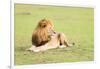 Lion, Masai Mara, Kenya, East Africa, Africa-Karen Deakin-Framed Photographic Print