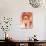 Lion Mix 1-XL-Fernando Palma-Giclee Print displayed on a wall