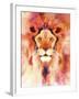 Lion Mix 1-XL-Fernando Palma-Framed Giclee Print