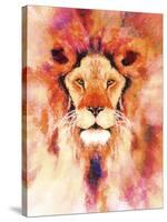 Lion Mix 1-XL-Fernando Palma-Stretched Canvas