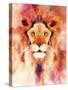 Lion Mix 1-XL-Fernando Palma-Stretched Canvas
