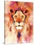 Lion Mix 1-XL-Fernando Palma-Stretched Canvas