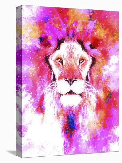 Lion Mix 2-XLI-Fernando Palma-Stretched Canvas