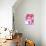 Lion Mix 2-XLI-Fernando Palma-Giclee Print displayed on a wall
