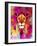 Lion Mix 3-XLII-Fernando Palma-Framed Giclee Print