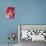Lion Mix 3-XLII-Fernando Palma-Mounted Giclee Print displayed on a wall