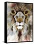 Lion Mix 4-XLIII-Fernando Palma-Framed Stretched Canvas