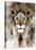 Lion Mix 4-XLIII-Fernando Palma-Stretched Canvas
