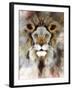 Lion Mix 4-XLIII-Fernando Palma-Framed Giclee Print