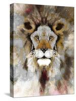 Lion Mix 4-XLIII-Fernando Palma-Stretched Canvas