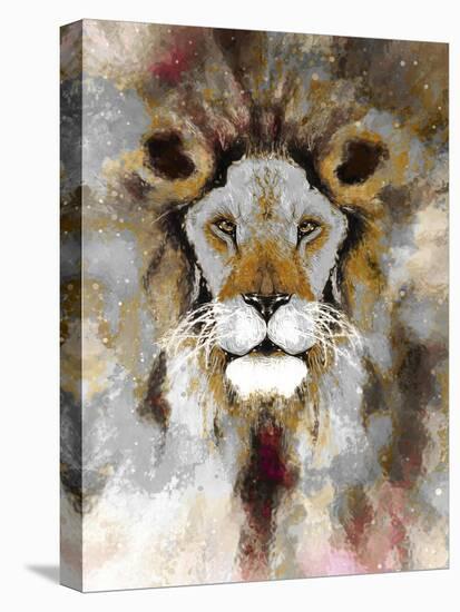 Lion Mix 4-XLIII-Fernando Palma-Stretched Canvas