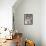 Lion Mix 5-XLIV-Fernando Palma-Framed Stretched Canvas displayed on a wall