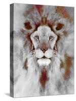 Lion Mix 5-XLIV-Fernando Palma-Stretched Canvas