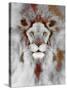 Lion Mix 5-XLIV-Fernando Palma-Stretched Canvas