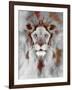 Lion Mix 5-XLIV-Fernando Palma-Framed Giclee Print