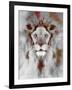 Lion Mix 5-XLIV-Fernando Palma-Framed Giclee Print