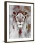 Lion Mix 5-XLIV-Fernando Palma-Framed Giclee Print