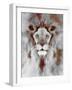 Lion Mix 5-XLIV-Fernando Palma-Framed Giclee Print