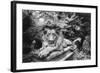 Lion Monument to Richard Charles Bostock, Abney Park Cemetery, London, England-Simon Marsden-Framed Giclee Print