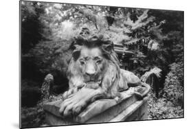 Lion Monument to Richard Charles Bostock, Abney Park Cemetery, London, England-Simon Marsden-Mounted Giclee Print