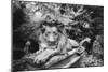 Lion Monument to Richard Charles Bostock, Abney Park Cemetery, London, England-Simon Marsden-Mounted Giclee Print