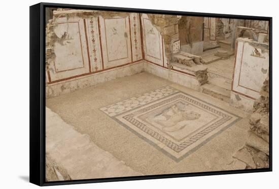 Lion Mosaic, Murals and Frescoes in a Terrace House, Curetes Street-Eleanor Scriven-Framed Stretched Canvas