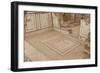 Lion Mosaic, Murals and Frescoes in a Terrace House, Curetes Street-Eleanor Scriven-Framed Photographic Print