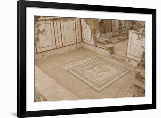 Lion Mosaic, Murals and Frescoes in a Terrace House, Curetes Street-Eleanor Scriven-Framed Photographic Print