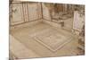 Lion Mosaic, Murals and Frescoes in a Terrace House, Curetes Street-Eleanor Scriven-Mounted Photographic Print