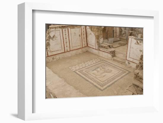 Lion Mosaic, Murals and Frescoes in a Terrace House, Curetes Street-Eleanor Scriven-Framed Photographic Print