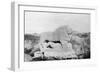 Lion of Babylon Statue, Babylon, Babil, Mesopotamia, 1918-null-Framed Giclee Print