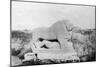 Lion of Babylon Statue, Babylon, Babil, Mesopotamia, 1918-null-Mounted Giclee Print