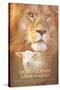 Lion of Judah-null-Stretched Canvas