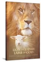 Lion of Judah-null-Stretched Canvas