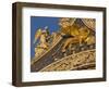 Lion of San Marco, Venice, Italy-Bill Young-Framed Photographic Print
