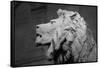 Lion of the Art Institute Chicago BW-Steve Gadomski-Framed Stretched Canvas