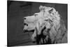 Lion of the Art Institute Chicago BW-Steve Gadomski-Stretched Canvas