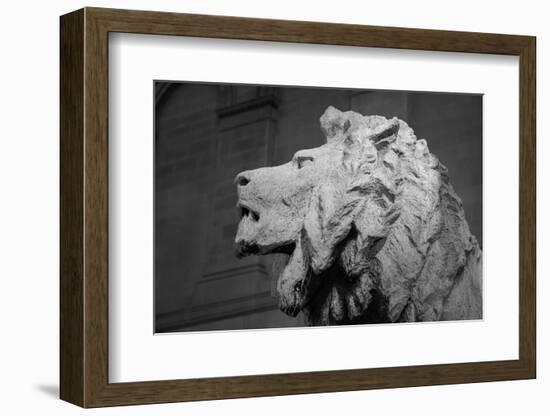 Lion of the Art Institute Chicago BW-Steve Gadomski-Framed Photographic Print