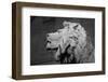 Lion of the Art Institute Chicago BW-Steve Gadomski-Framed Photographic Print