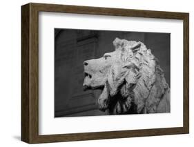 Lion of the Art Institute Chicago BW-Steve Gadomski-Framed Photographic Print