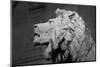Lion of the Art Institute Chicago BW-Steve Gadomski-Mounted Photographic Print