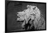 Lion of the Art Institute Chicago BW-Steve Gadomski-Framed Photographic Print