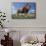 Lion on Hill-DLILLC-Mounted Premium Photographic Print displayed on a wall