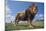 Lion on Hill-DLILLC-Mounted Photographic Print