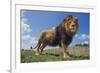 Lion on Hill-DLILLC-Framed Photographic Print