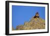 Lion on Rocks-DLILLC-Framed Photographic Print