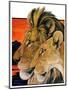 "Lion Pair,"April 27, 1929-Paul Bransom-Mounted Giclee Print