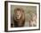 Lion Pair (Panthera Leo), Masai Mara National Reserve, Kenya, East Africa, Africa-Sergio Pitamitz-Framed Photographic Print